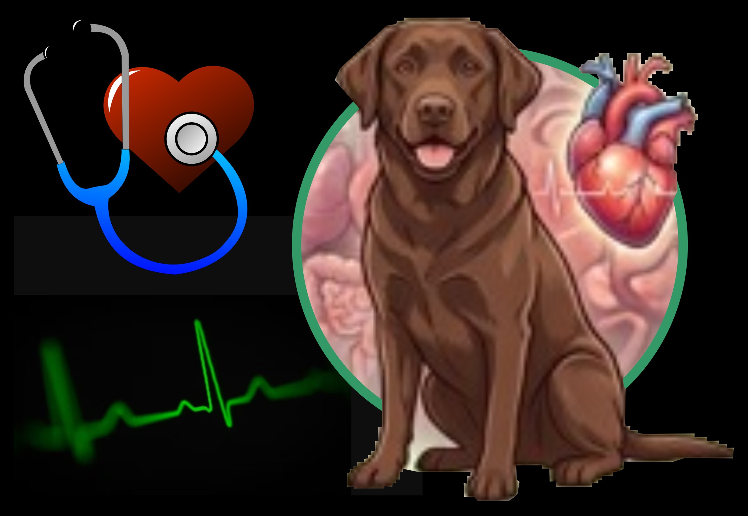 CARDIOLOGIA